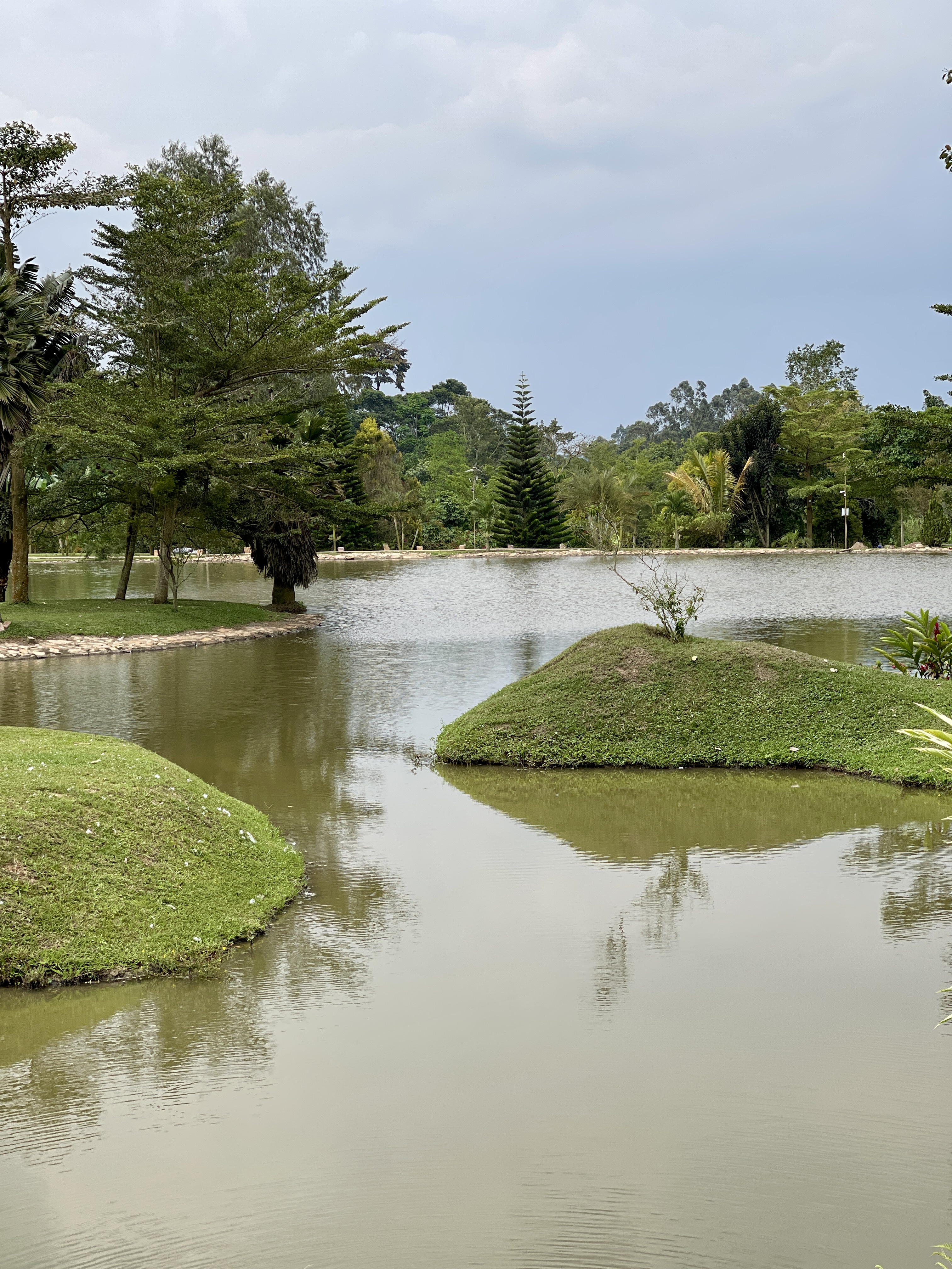 Lakeside View